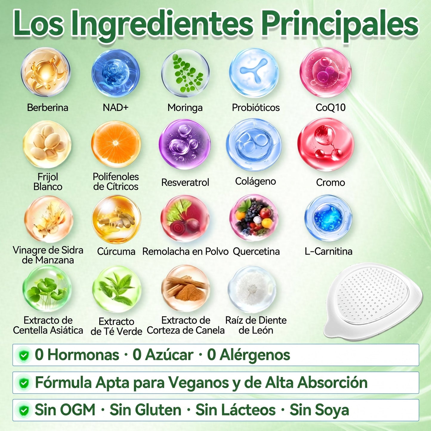 𝑇𝑖𝑒𝑛𝑑𝑎 𝑜𝑓𝑖𝑐𝑖𝑎𝑙 𝑑𝑒 𝐸𝑠𝑝𝑎ñ𝑎 🇪🇸  | 🐟𝐅𝐥𝐨𝐫𝐢𝐬𝐦𝐚® 𝑴𝒐𝒓𝒊𝒏𝒈𝒂 𝑩𝒆𝒓𝒃𝒆𝒓𝒊𝒏𝒂 10 𝑬𝒏 1 𝑷𝒂𝒓𝒄𝒉𝒆 𝑨𝒗𝒂𝒏𝒛𝒂𝒅𝒐 𝑫𝒆 𝑴𝒊𝒄𝒓𝒐𝒏𝒆𝒆𝒅𝒍𝒆𝒔 𝑵𝒂𝒏𝒐