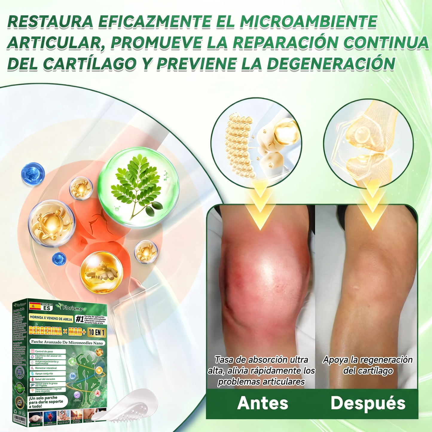 𝑇𝑖𝑒𝑛𝑑𝑎 𝑜𝑓𝑖𝑐𝑖𝑎𝑙 𝑑𝑒 𝐸𝑠𝑝𝑎ñ𝑎 🇪🇸  | 🐟𝐅𝐥𝐨𝐫𝐢𝐬𝐦𝐚® 𝑴𝒐𝒓𝒊𝒏𝒈𝒂 𝑩𝒆𝒓𝒃𝒆𝒓𝒊𝒏𝒂 10 𝑬𝒏 1 𝑷𝒂𝒓𝒄𝒉𝒆 𝑨𝒗𝒂𝒏𝒛𝒂𝒅𝒐 𝑫𝒆 𝑴𝒊𝒄𝒓𝒐𝒏𝒆𝒆𝒅𝒍𝒆𝒔 𝑵𝒂𝒏𝒐